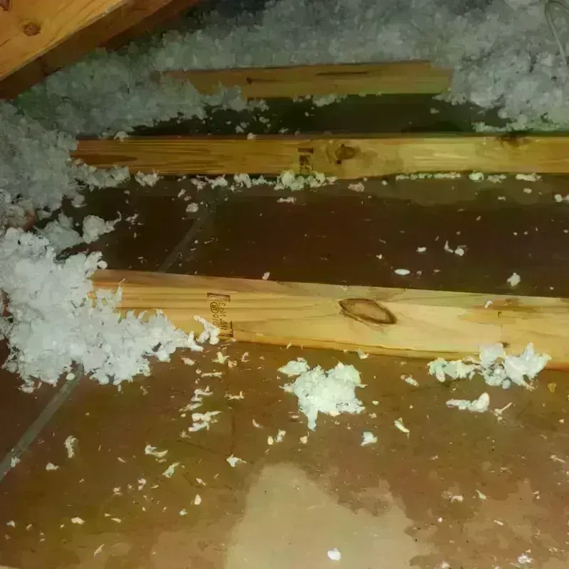 Attic Water Damage in Orchard Hills, PA